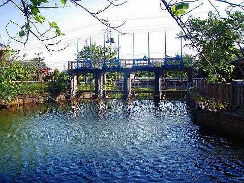 2012051308.jpg