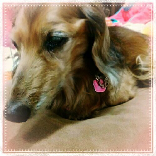 rblog-20170119091408-01.jpg