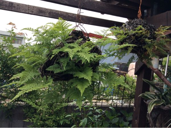 rblog-20140527161425-03.jpg