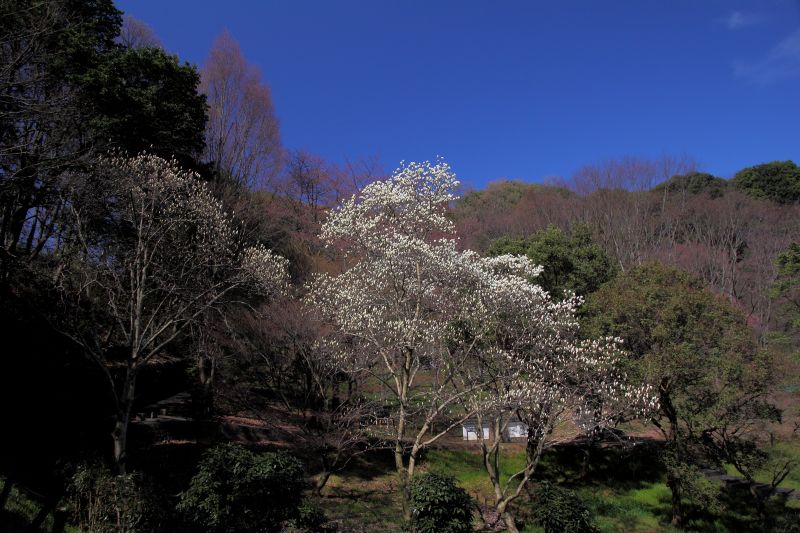 天ノ香具山_003.jpg
