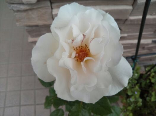 rblog-20140513214818-01.jpg