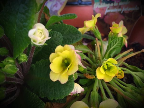 rblog-20160330191005-01.jpg