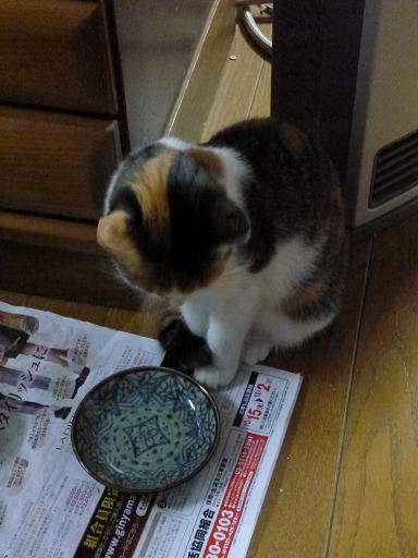 画像 2239.jpg