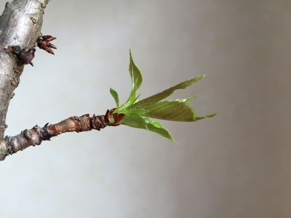 rblog-20160323175612-02.jpg
