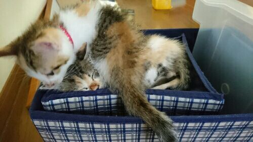 rblog-20170701132148-01.jpg