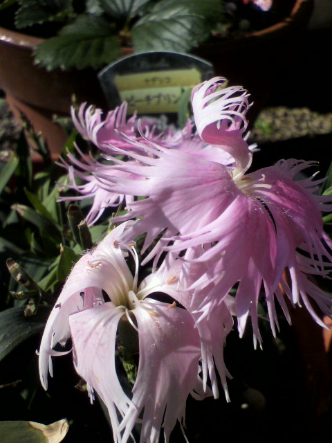 2012112013070000.jpg