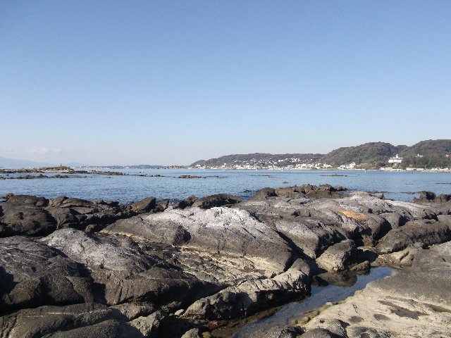 天神島臨海自然教育園4.jpg