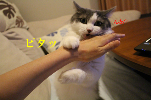 mumu15.jpg
