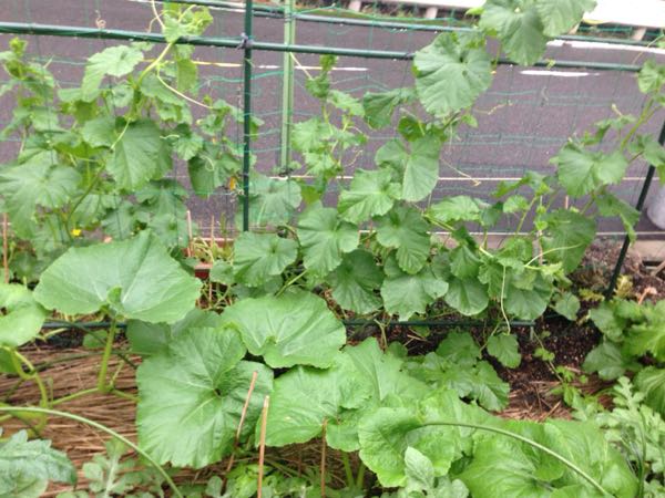 rblog-20160626204835-08.jpg