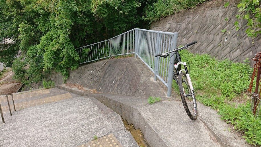 六甲山徳川道～石楠花山～炭谷 | NOZOGRY の MTB など - 楽天ブログ