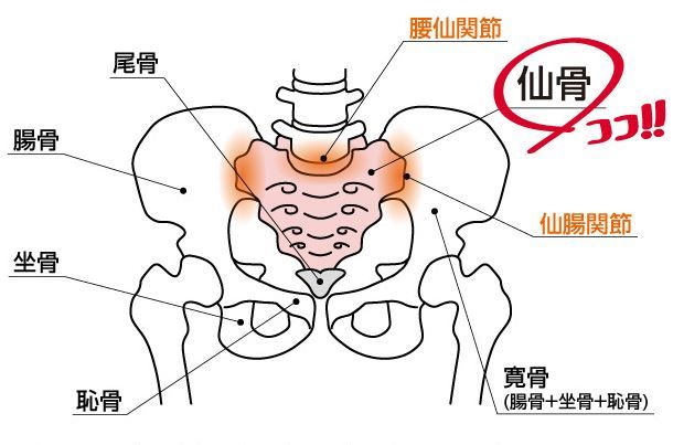 運気もｕｐする 両手を振るだけの超簡単健康法 スワイショウ その２ メモメモ F ｪ O メモ帳代わりのブログ 楽天ブログ