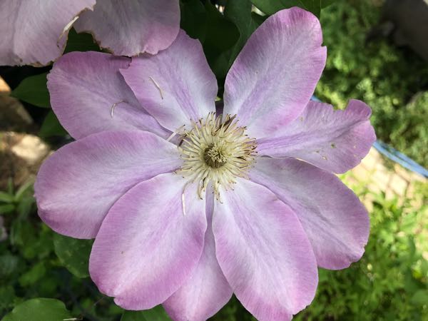 rblog-20180430122502-06.jpg