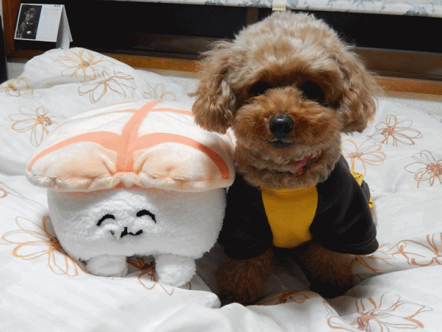 こころアニメ