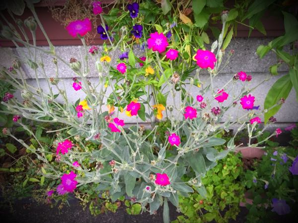 rblog-20160627205604-04.jpg