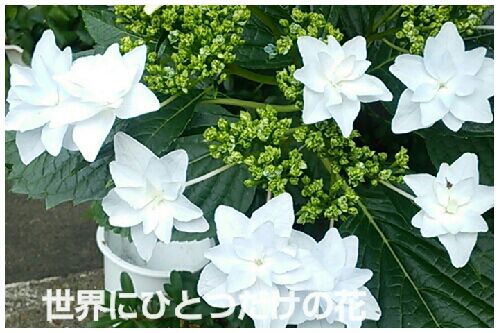 rblog-20160605132929-00.jpg