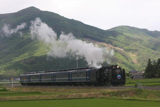 釜石線 牛とD51 銀河ドリーム号3