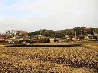 CIMG0004.JPG