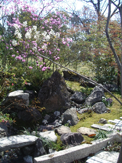 浜名湖花薄2014