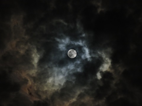 DSCN3162s.JPG