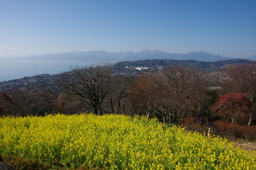 吾妻山公園