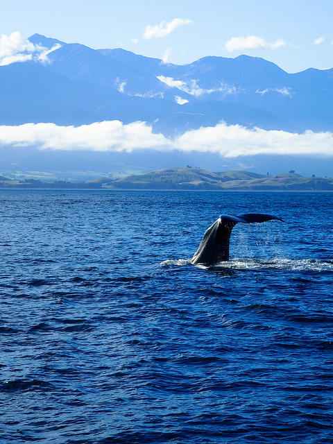 Gemma Louise Lowe3.jpg