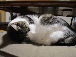 IMG_4293ss.jpg