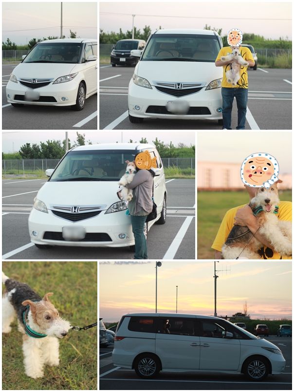 エリシオンと最後のドライブ Zakkaな毎日 楽天ブログ