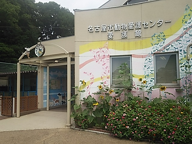 280730愛護センター2.JPG