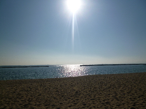 P1150112(1).JPG
