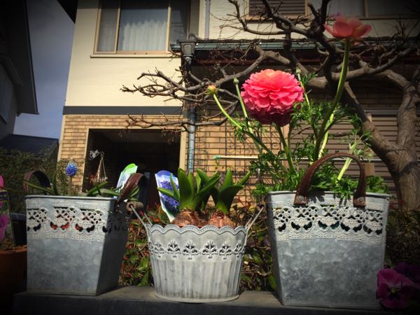 rblog-20160225162749-04.jpg