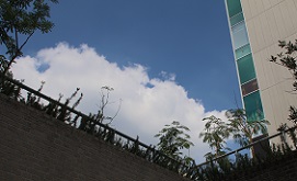 IMG_0955-14.jpg