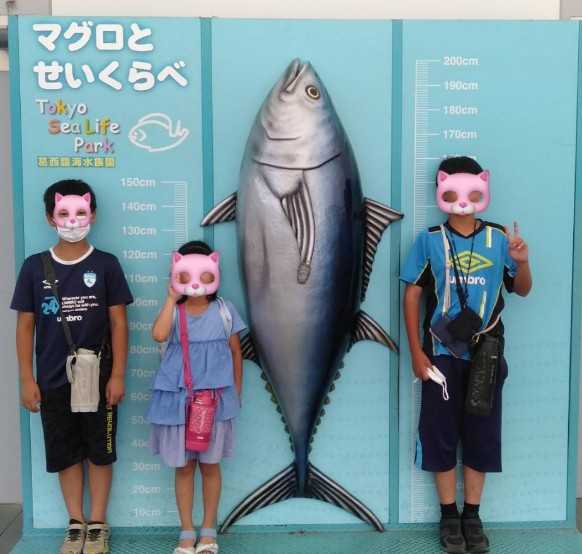 葛西臨海水族園 | こども３人&ミックス犬🖤 - 楽天ブログ