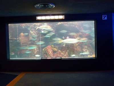 P1000320.jpg