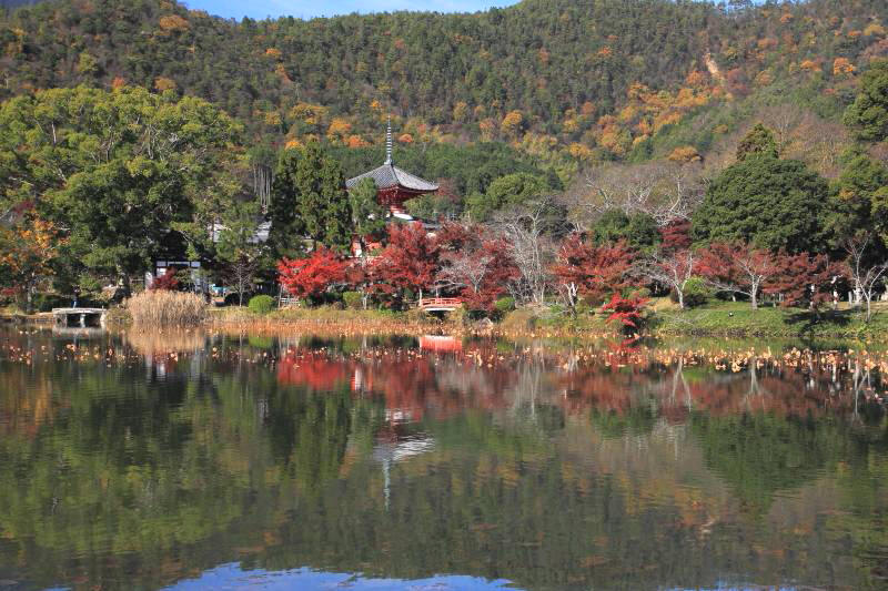 大沢池_007心経宝塔.jpg