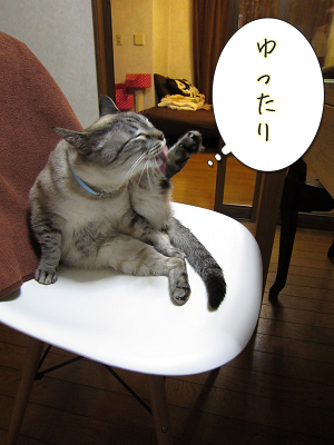 nRw9JvGBCMo_zm11366934448_1366934559.png