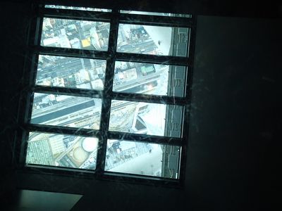 P2010008.jpg