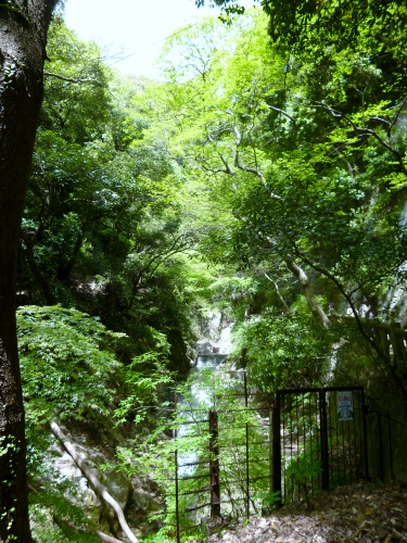 068 (375x500).jpg