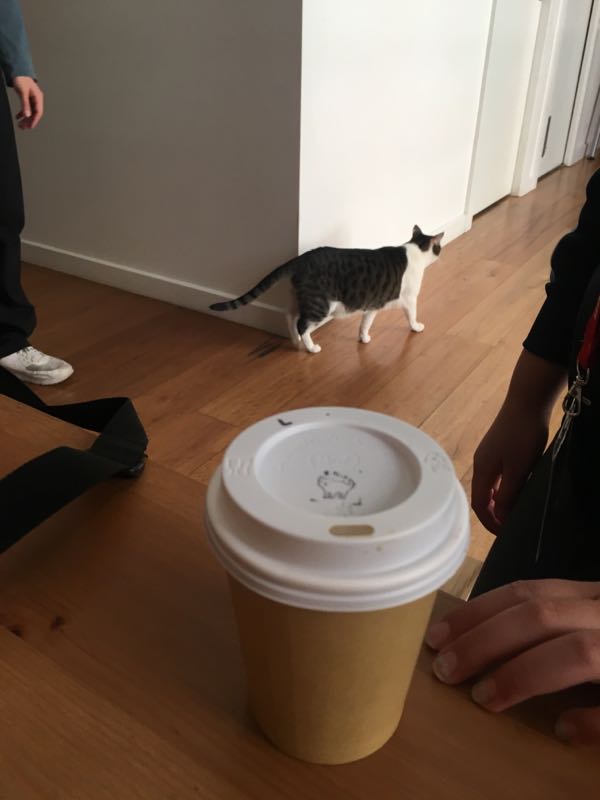 rblog-20180926114025-01.jpg