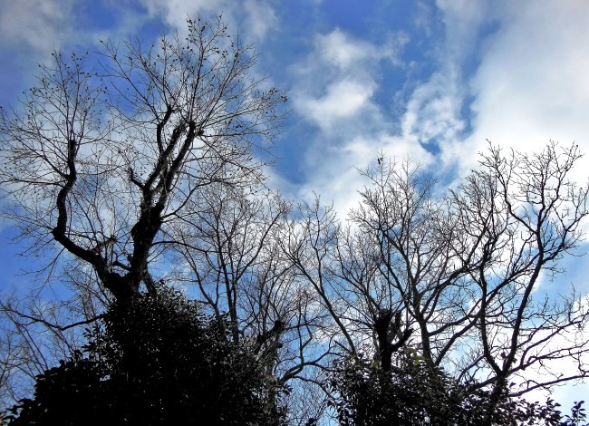 空