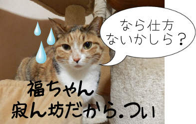 P4160008.png