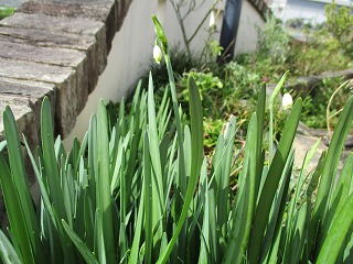 IMG_9703ss.jpg