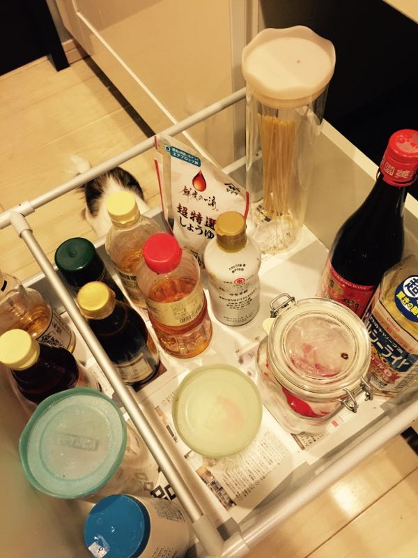 rblog-20160107095602-03.jpg