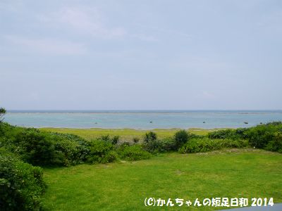 P1030206.jpg