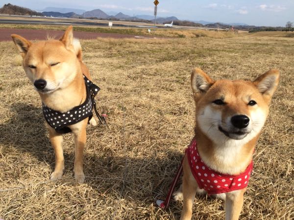 rblog-20160123122814-01.jpg