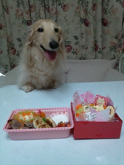 ぽちちゃん　１０歳birthday