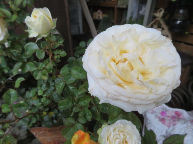 サエラ風 レース バスケット ハンドメイド 薔薇 ローズ