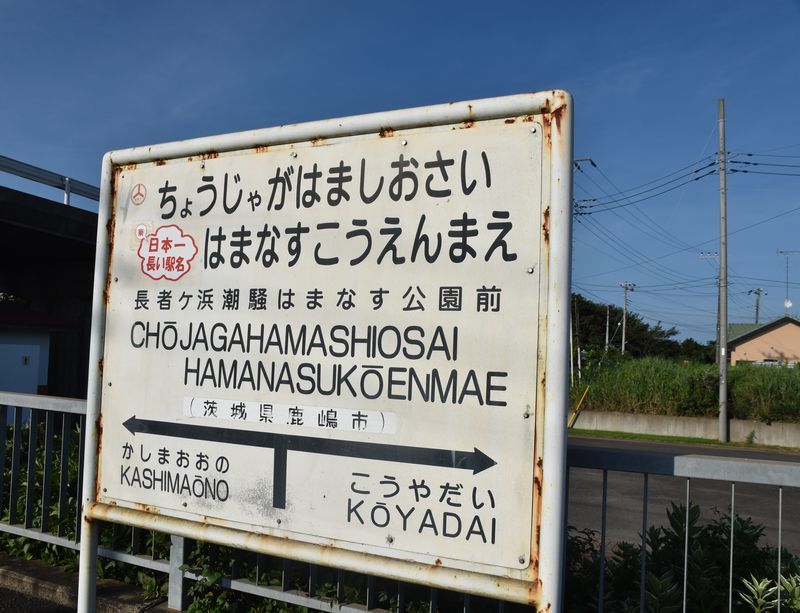 茨城県鹿嶋市 ニユーはまなす だるま屋 焼きそば放浪記 楽天ブログ