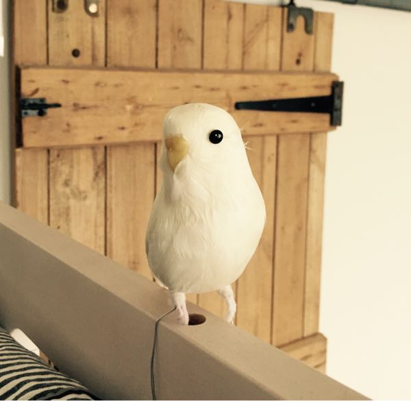 rblog-20150414110841-02.jpg