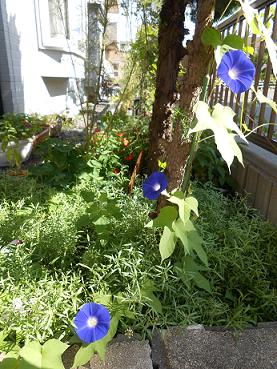 DSCN0541.jpg