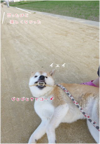 0430朝7.jpg